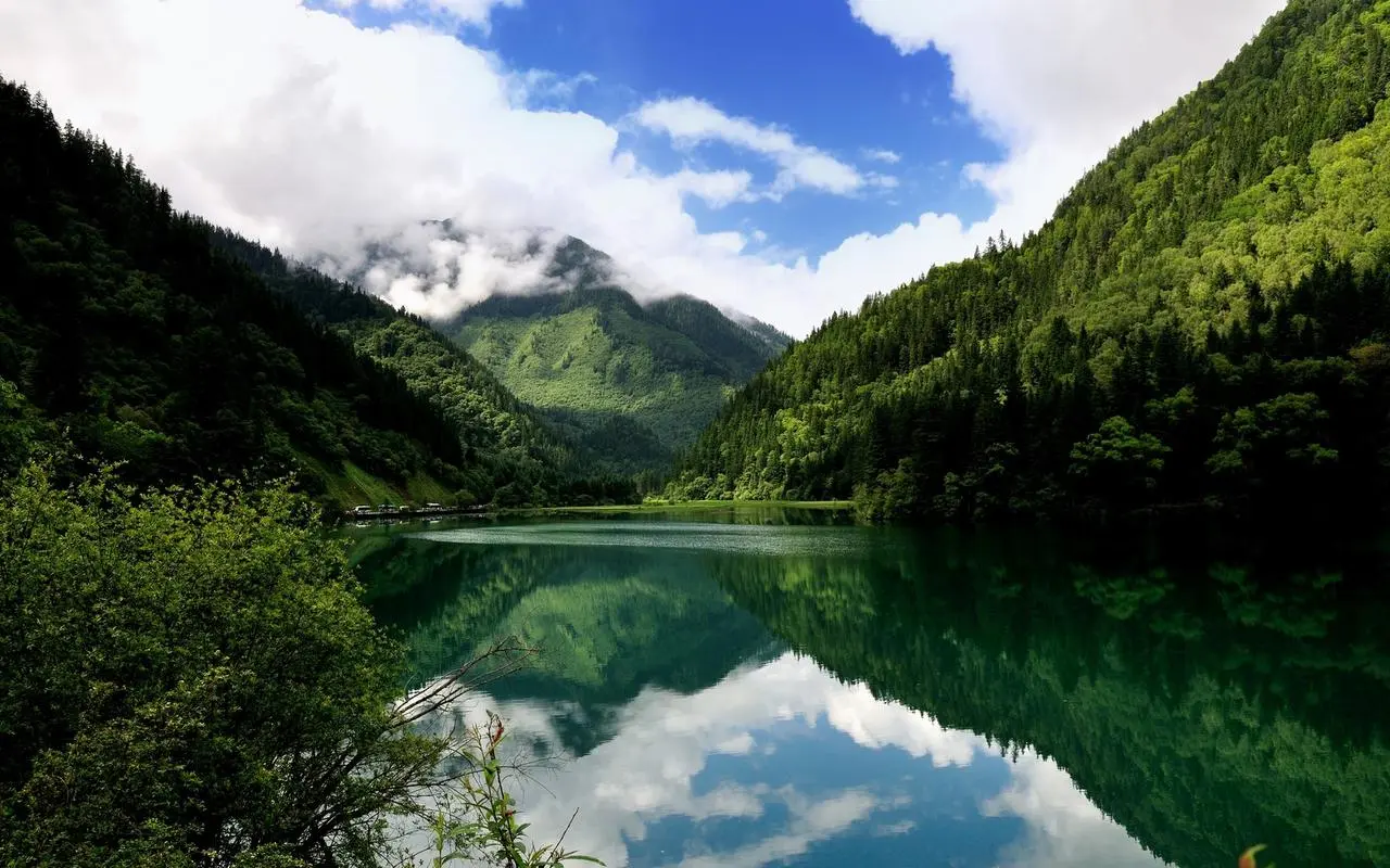 智能化绿色